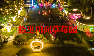草莓草莓视频APP黄色風光
