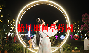 草莓草莓视频APP黄色采摘